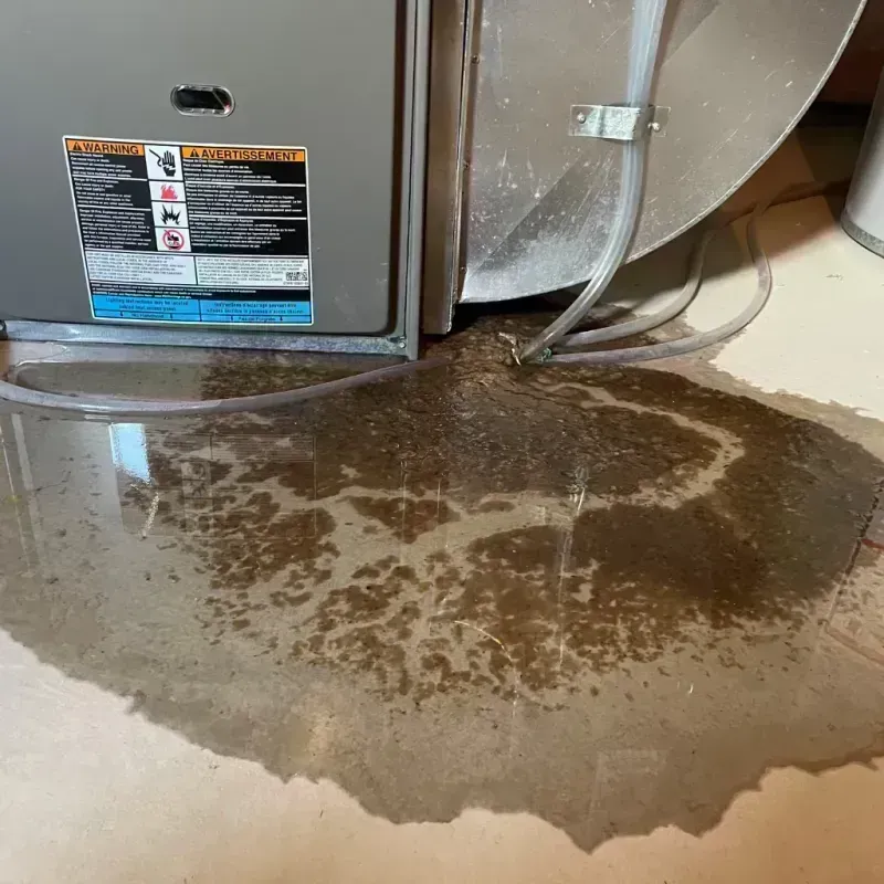 Appliance Leak Cleanup in Greenwich, NY